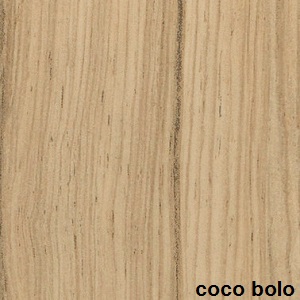 PARADORCocoboloskippi PDcocobolo